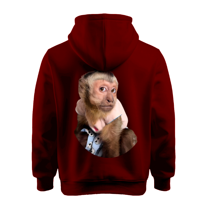Sudadera | Corinta | mono capuchino | Tierno