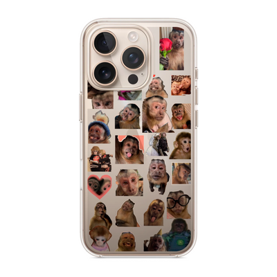 Funda | Resina Encapsulada | Iphone 16 pro | Artístico | monitos