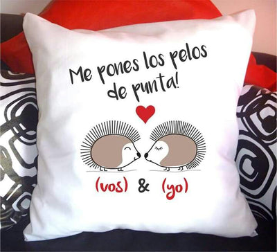 Cojín Personalizado | Puerco espin