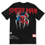 Playera Negra | Hombre Araña