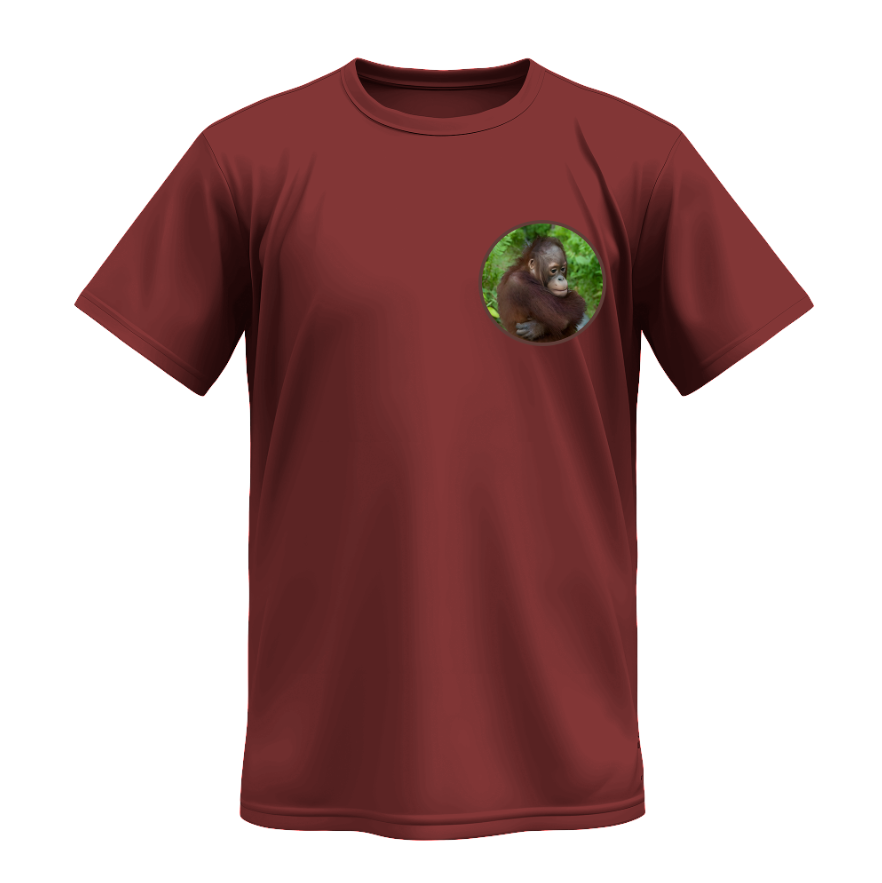 Playera | Corinta | Mono meme