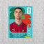 Cuadro Metálico Panini Personalizado | Mundial 2026| CR 7