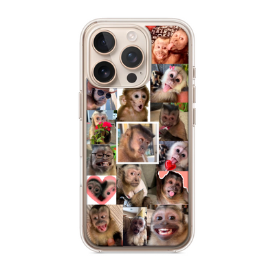 Funda | Resina Encapsulada | Iphone 16 pro | Monitos