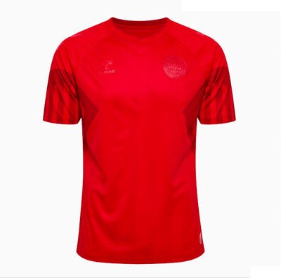 Uniforme Depostivo| Camisola  Dinamarca 22-23